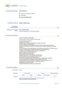 Curriculum