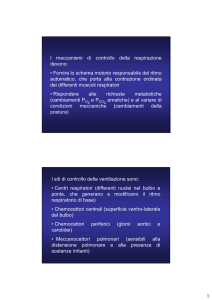 Col 30) Regolazione respirazione