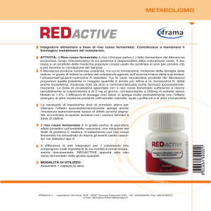 METABOLISMO