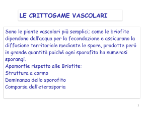 Crittogame Vascolari 2015