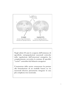 Controllo Neuroendocrino 2 - Nutrizione