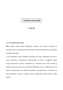 CAPITOLO SECONDO IL RENE