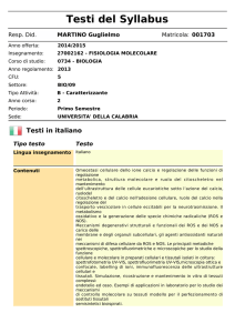 Testi del Syllabus