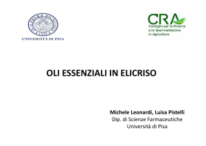 oli essenziali in elicriso