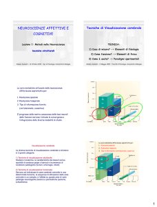 NEUROSCIENZE AFFETTIVE E COGNITIVE