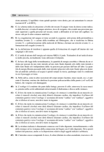 zione aumenta. L`equilibrio viene quindi spostato verso