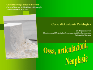 Diapositiva 1