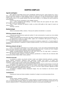 herpes simplex 08