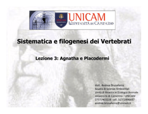 Sistematica e filogenesi dei Vertebrati