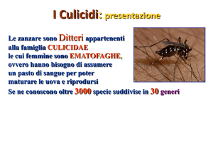 Diapositiva 1 - Progetto e
