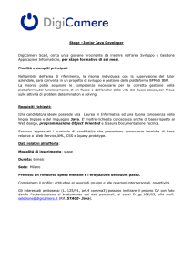 Stage –Junior Java Developer DigiCamere Scarl, cerca un/a