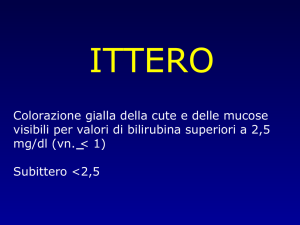 Presentazione di PowerPoint