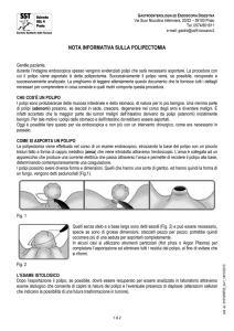 01019INF03_Informativa polipectomia_rev1