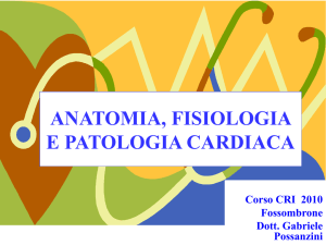 anatomia, fisiologia e patologia cardiaca