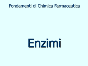 Enzimi - Adriano Martinelli