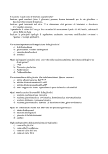 Cosa sono e quali sono le reazioni anaplerotiche?