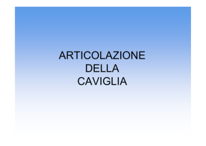 articolazione della caviglia