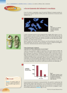 file  - Istituto Italiano Edizioni Atlas