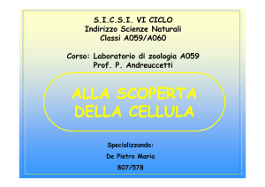 scoperta della cellula
