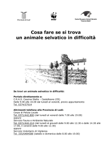 Logo CRAS - Comune di Montanaso Lombardo