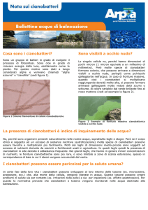Cosa sono i cianobatteri? - GeoPortale ARPA Piemonte