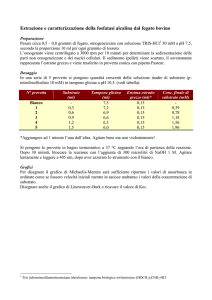 Preview - Scienze a scuola