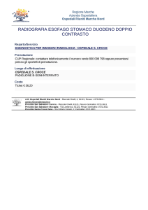 radiografia esofago stomaco duodeno doppio contrasto