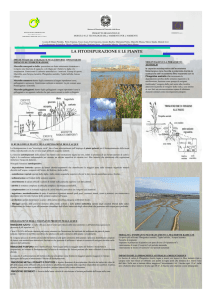 Poster progetto Helianthus "Tecnologie dell