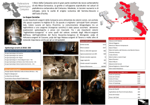 2010 - Poster Regione Campania
