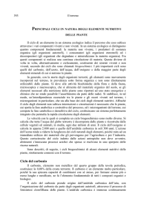 Ciclo del carbonio - francescofiume.altervista.org