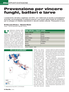 Prevenzione per vincere funghi, batteri e larve