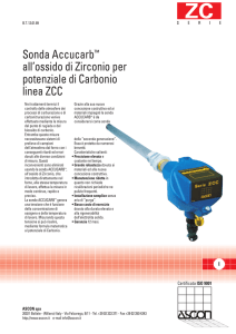 Sonda Accucarb™ all`ossido di Zirconio per potenziale di Carbonio