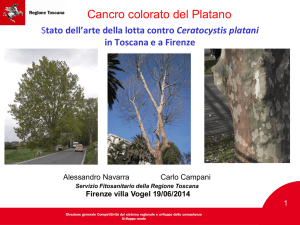 Diapositiva 1 - Regione Toscana