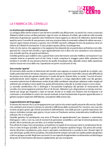 la fabbrica del cervello