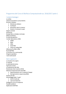 2016 2017 biof comp programma parte 1