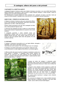 Il castagno: albero del pane e dei primati - CSC-CAI