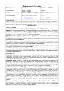 Entomologia forestale - Dipartimento di Agraria, Sassari