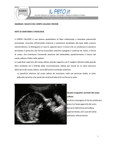 AGENESIA ISOLATA DEL CORPO CALLOSO: REVIEW NOTE DI