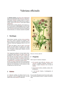 scarica la voce in formato pdf