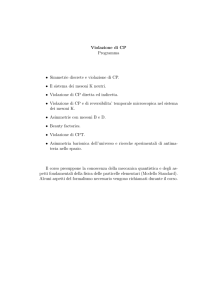 Violazione di CP Programma • Simmetrie discrete e violazione di CP