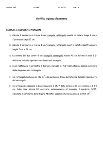Verifica ripasso Geometria