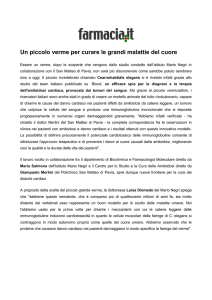 Un piccolo verme per curare le grandi malattie del cuore