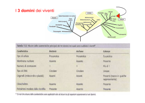 Botany 3