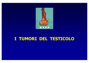 Diapositiva 1