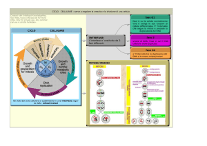 ciclo_cellulare - Libro di Scuola