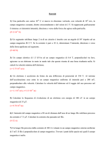 Esercizi 1) Una particella con carica 10 C si muove in direzione