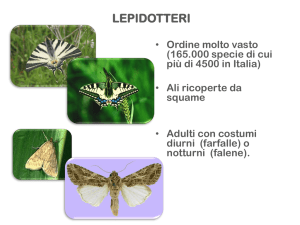 Diapositiva 1 - Istituto Serpieri Bologna