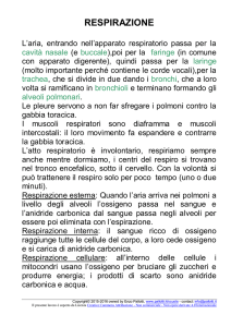 anatomia e fisiologia: riassunto sull`apparato