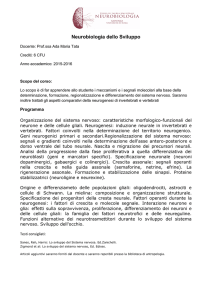 Programma Corso File - e