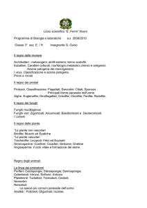 “E. Fermi” Nuoro Programma di Biologia e laboratorio as 2009/2010